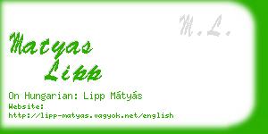 matyas lipp business card